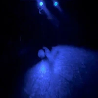 画像344